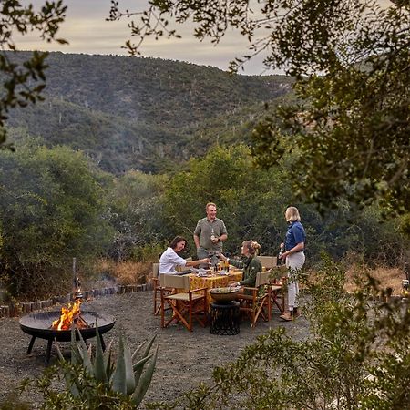 Kwandwe Private Game Reserve - Melton Manor Grahamstown Εξωτερικό φωτογραφία