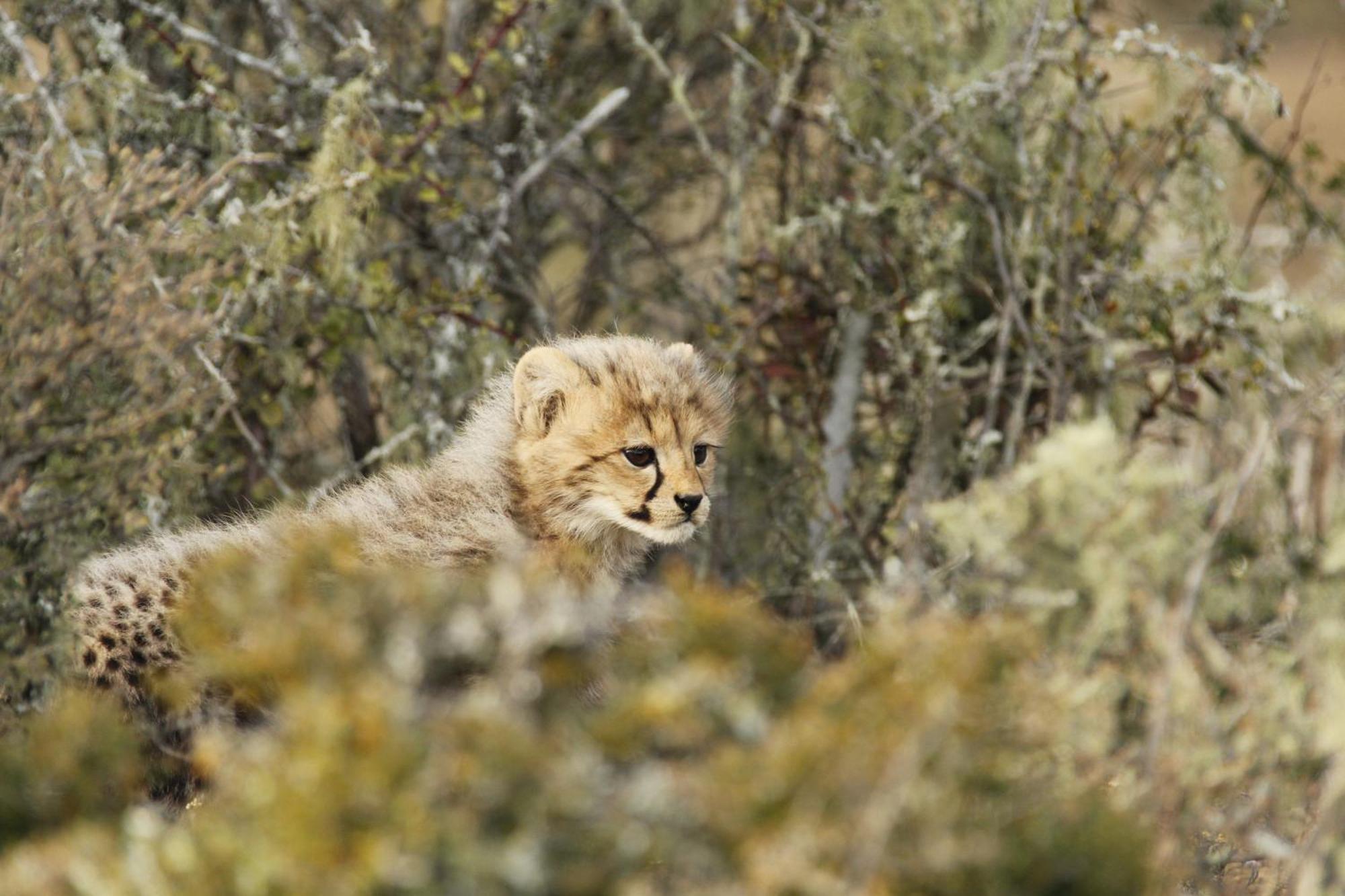 Kwandwe Private Game Reserve - Melton Manor Grahamstown Εξωτερικό φωτογραφία