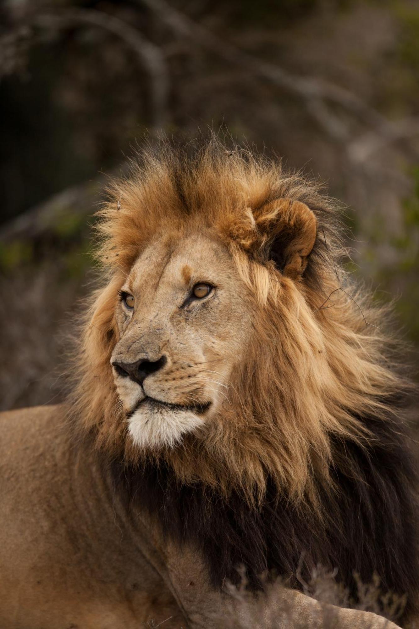 Kwandwe Private Game Reserve - Melton Manor Grahamstown Εξωτερικό φωτογραφία